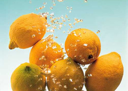 ������ʳ��